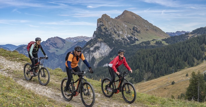 Drei Radfahrer in einer bewaldeten Gebirgslandschaft