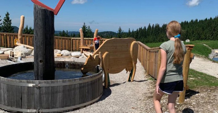 Nikis Alm-Abenteuer