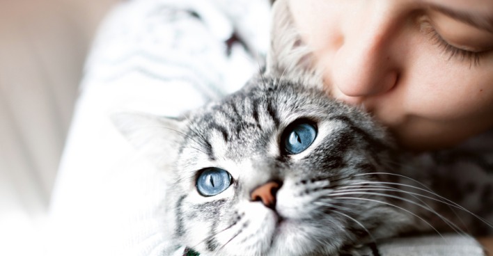 Schmusestunde mit der Katze | Credit: iStock.com/Dmitry Kirichay