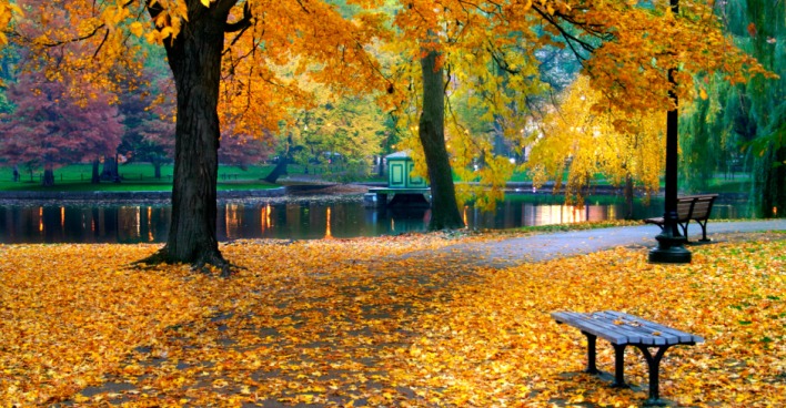 Der Public Garden in Boston | Credit: iStock.com/coleong