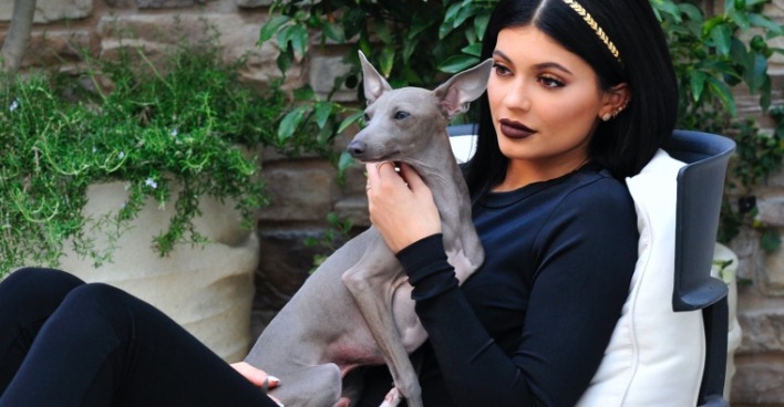 Star-Haustiere auf Insta | Credit: MICHAEL SIMON / Action Press / picturedesk.com