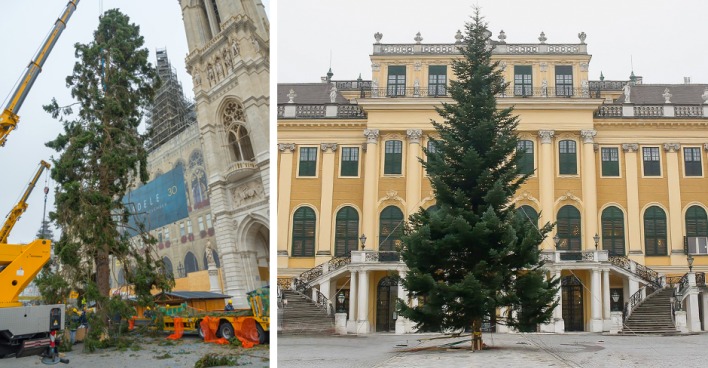 Christbaum aufstellen | Credit: Andreas Tischler/picturedesk.com, ÖBf-Archiv/Wolfgang Simlinger, www.weihnachtsmarkt.co.at/FOTOFALLY, Collage: Garzarolli Thurnlackh Frank