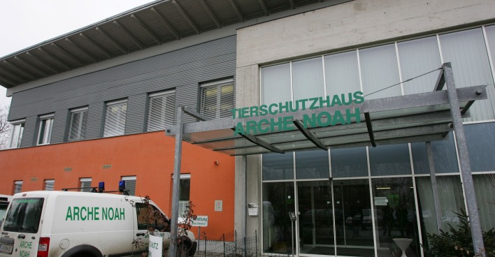 Tierheim Arche Noah in der Steiermark