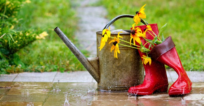 Gießkanne und Gummistiefel im Regen | Credit: iStock.com/ZoiaKostina