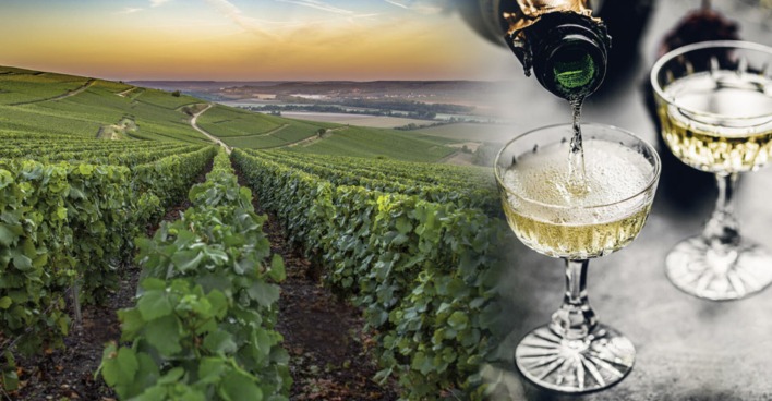Weinberg in der Champagne