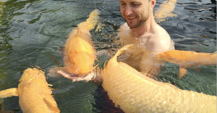Reinfried Herbst schwimmt mit seinen Fischen. | Credit: koialm-salzburg.at