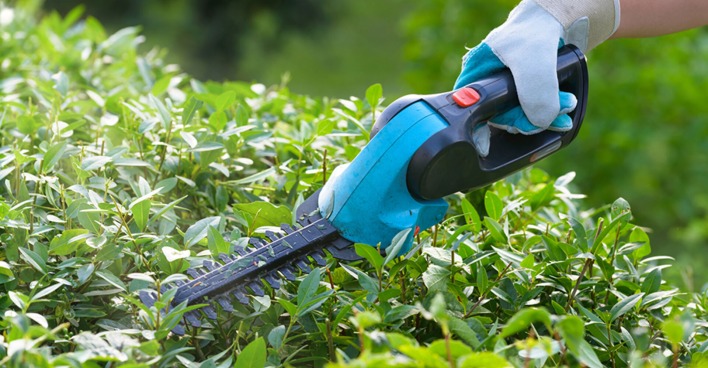 Frau bei der Gartenarbeit mit einer Akku-Heckenschere in der Hand | Credit: iStock.com/humonia
