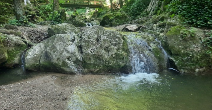 Würflach