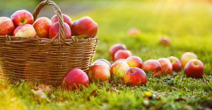 Korb mit Äpfeln am Gras in der Sonne