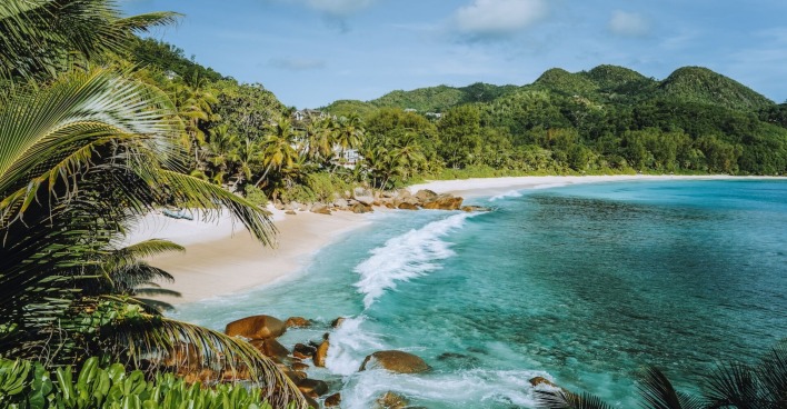 Strandbucht auf Seychellen mit Palmen. | Credit: iStock.com/miniloc