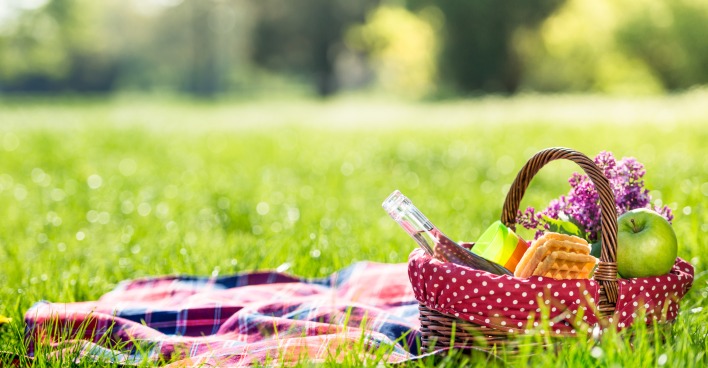 Picknick im Grünen