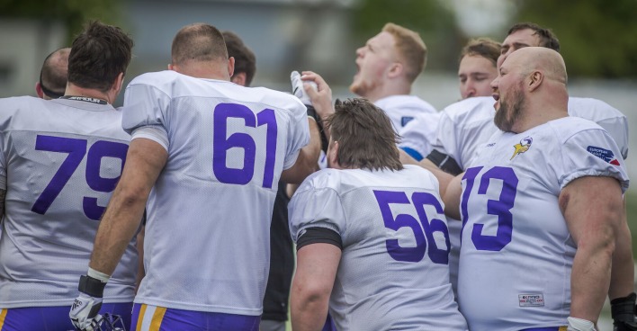 Vienna Vikings