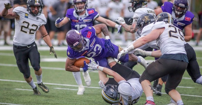 Vienna Vikings