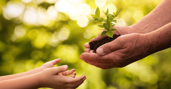 Pflanze wird von der Hand einer älteren Person an eine jüngere überreicht  | Credit: istock.com/Nastco