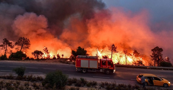Ein Feuerwehrauto auf der Straße vor einem brennenden Wald