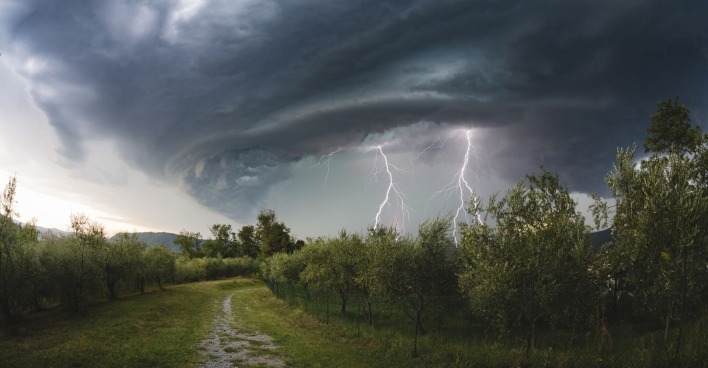 Dunkle Wolken und Blitze über einer Plantage mit Obstbäumen.
