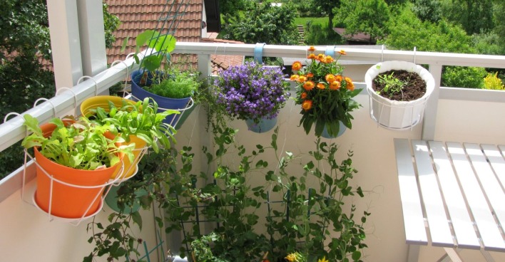 Bunter Garten auf einem Balkon | Credit: iStock.com/HeikeRau
