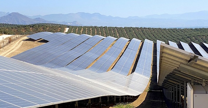 Photovoltaik-Anlage vor Olivenhainen | Credit: weekend Magazin