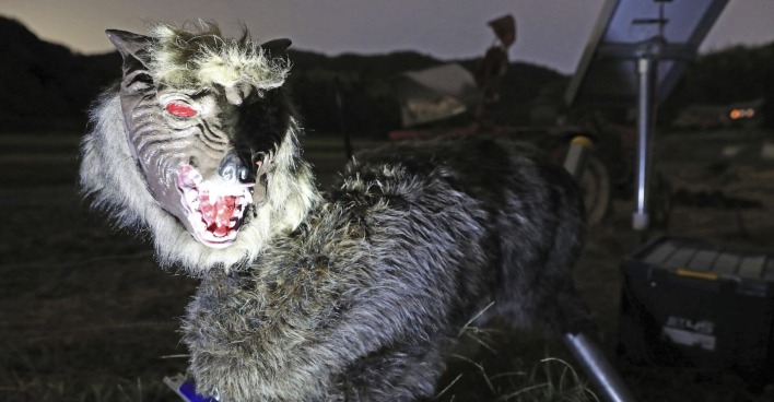Der Roboter-Wolf im nächtlichen Einsatz.