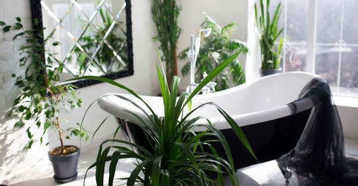 Badezimmer mir Pflanzen | Credit: iStock.com/sergiophoto84