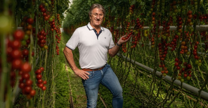 Manfred Hohensinner, Geschäftsführer von Frutura, mitten in einer Tomatenplantage