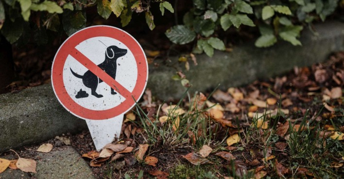 Verbotsschild für Hunde-Häufchen