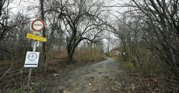 Waldweg in Wien