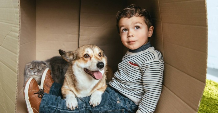 Kleiner Junge sitzt in einem großen Karton zusammen mit einem Corgi-Hund auf dem Schoß