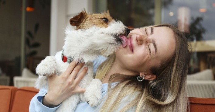 Ein kleiner Hund schlecht eine Frau ab.
