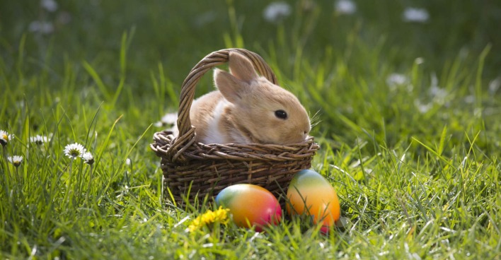 Kleiner Hase sitzt in einem Korb mit Ostereiern, der in einer Wiese steht