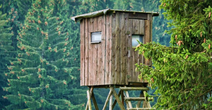 Ein Jäger-Hochsitz in einem Wald.