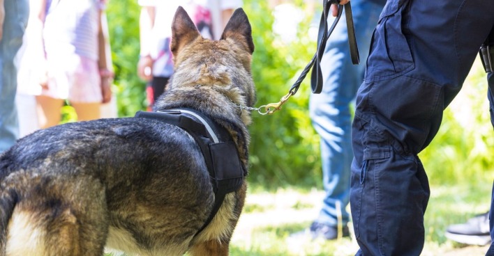 Ein Polizist mit einen Sprengstoffspürhund.