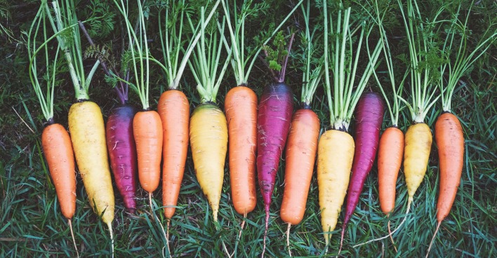 Bunte Karotten | Credit: iStock.com/Nadya So