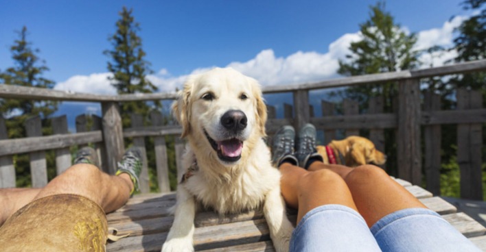 Hund sitzt zwischen Mann und Frau auf einer Bank in den Bergen
