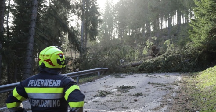 Ein umgestürzter Baum blockiert die Fahrbahn, davor ein Feuerwehrmann der den Schaden begutachtet