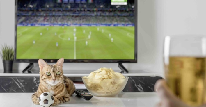 Katze mit Fußball, TV, Chips, Bier