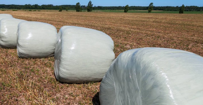 Mehrere Siloballen auf einem Feld.