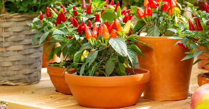 Chili im Topf | Credit: iStock.com/OlgaKorica