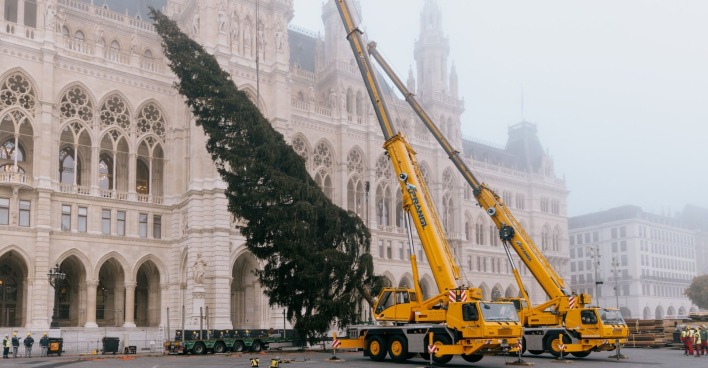 Kran richtet Baum vor dem Wiener Rathaus auf