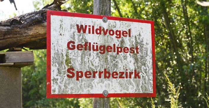 Warnschild zu Vogelgrippe