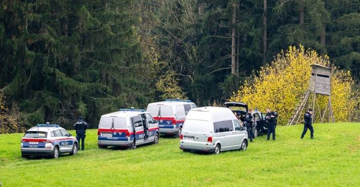 Waldstück in Oberösterreich