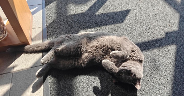 Corona liegt am Boden | Credit: Lilli Platzer