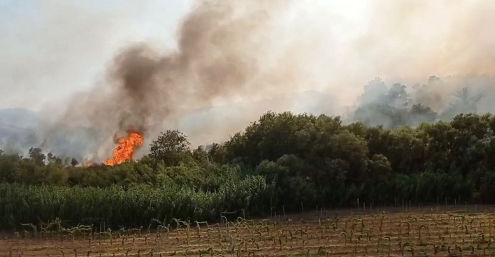 Dichter Rauch und hohe Flammen steigen am Rand eines Weinbergs bei Cirò Marina in der italienischen Provinz Crotone auf. Ein schwerer Waldbrand bedroht eine nahegelegene Urlaubsregion.