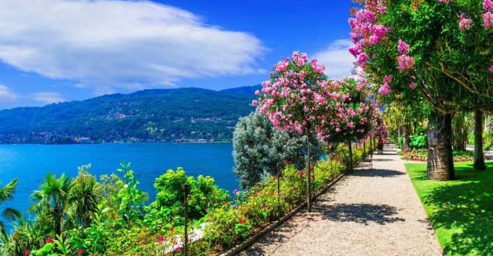 Blick auf den Lago Maggiore in Italien: Ein Spazierweg mit blühenden Bäumen und Sträuchern führt am tiefblauen See entlang, dahinter grüne Hügel unter leicht bewölktem Himmel.