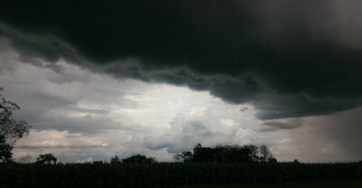 Dunkle Gewitterwolken über einem Maisfeld kündigen eine bevorstehende Unwetterlage an. Besonders im Osten Österreichs steigt am Montag die Gefahr kräftiger Gewitter.