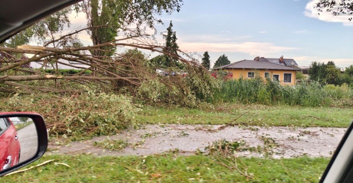 Mehrere entwurzelte Bäume liegen nach einem Unwetter quer über eine Wiese und einen Weg in Wiener Neustadt, im Hintergrund steht ein gelbes Wohnhaus.