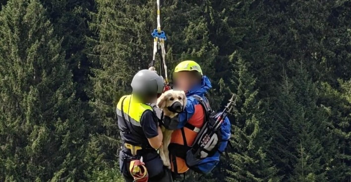 Zwei Mitglieder der Bergrettung und eine Hündin