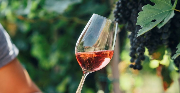 Mann bei Weinprobe auf einem Weinfeld mit einem Glas in seiner Hand