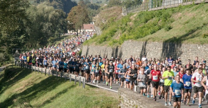 Läufer auf der Strecke des Wachaumarathon