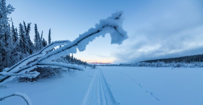Eine frostige Winterlandschaft mit Schnee.